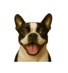 ハッピー顔（犬編）（個別スタンプ：30）