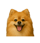 ハッピー顔（犬編）（個別スタンプ：31）