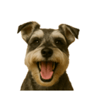 ハッピー顔（犬編）（個別スタンプ：34）