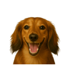 ハッピー顔（犬編）（個別スタンプ：35）