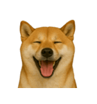 ハッピー顔（犬編）（個別スタンプ：38）