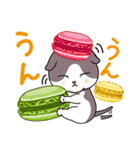グレー猫グレちゃん日常スイーツスタンプ（個別スタンプ：13）