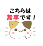 飛び出す！ねことシマエナガ 災害安否（個別スタンプ：2）