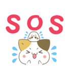飛び出す！ねことシマエナガ 災害安否（個別スタンプ：5）