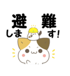 飛び出す！ねことシマエナガ 災害安否（個別スタンプ：6）