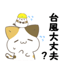 飛び出す！ねことシマエナガ 災害安否（個別スタンプ：9）