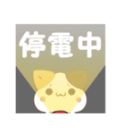 飛び出す！ねことシマエナガ 災害安否（個別スタンプ：10）
