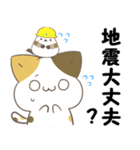 飛び出す！ねことシマエナガ 災害安否（個別スタンプ：12）