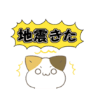 飛び出す！ねことシマエナガ 災害安否（個別スタンプ：13）