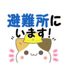 飛び出す！ねことシマエナガ 災害安否（個別スタンプ：20）