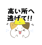 飛び出す！ねことシマエナガ 災害安否（個別スタンプ：21）