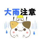 飛び出す！ねことシマエナガ 災害安否（個別スタンプ：22）