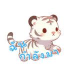 虎ベビーの生活 (タイ) Ver4（個別スタンプ：14）