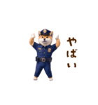 踊る！犬のおまわりさん（個別スタンプ：19）
