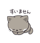 猫のまもこ（個別スタンプ：27）