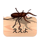 スマホの上のクワガタムシ7《関西弁》（個別スタンプ：2）