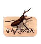 スマホの上のクワガタムシ7《関西弁》（個別スタンプ：5）