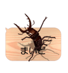 スマホの上のクワガタムシ7《関西弁》（個別スタンプ：7）