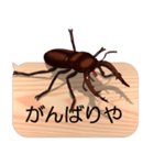 スマホの上のクワガタムシ7《関西弁》（個別スタンプ：13）