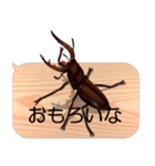 スマホの上のクワガタムシ7《関西弁》（個別スタンプ：16）