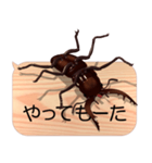スマホの上のクワガタムシ7《関西弁》（個別スタンプ：17）