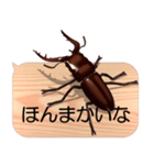 スマホの上のクワガタムシ7《関西弁》（個別スタンプ：21）