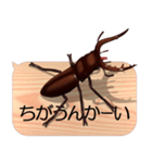 スマホの上のクワガタムシ7《関西弁》（個別スタンプ：22）