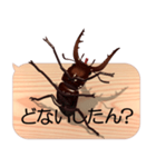 スマホの上のクワガタムシ7《関西弁》（個別スタンプ：23）