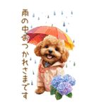 トイプードルの梅雨BIGスタンプ（個別スタンプ：3）