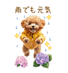 トイプードルの梅雨BIGスタンプ（個別スタンプ：4）