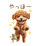 トイプードルの梅雨BIGスタンプ（個別スタンプ：5）
