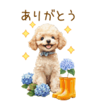 トイプードルの梅雨BIGスタンプ（個別スタンプ：6）