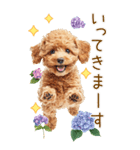 トイプードルの梅雨BIGスタンプ（個別スタンプ：15）
