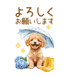 トイプードルの梅雨BIGスタンプ（個別スタンプ：17）