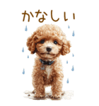 トイプードルの梅雨BIGスタンプ（個別スタンプ：21）