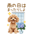 トイプードルの梅雨BIGスタンプ（個別スタンプ：22）