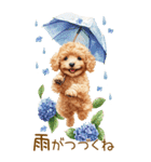 トイプードルの梅雨BIGスタンプ（個別スタンプ：23）