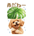 トイプードルの梅雨BIGスタンプ（個別スタンプ：24）