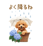 トイプードルの梅雨BIGスタンプ（個別スタンプ：25）