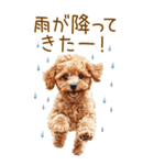 トイプードルの梅雨BIGスタンプ（個別スタンプ：26）