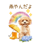 トイプードルの梅雨BIGスタンプ（個別スタンプ：27）
