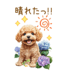 トイプードルの梅雨BIGスタンプ（個別スタンプ：28）