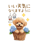 トイプードルの梅雨BIGスタンプ（個別スタンプ：32）