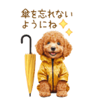 トイプードルの梅雨BIGスタンプ（個別スタンプ：34）