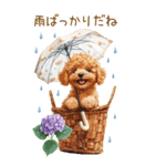 トイプードルの梅雨BIGスタンプ（個別スタンプ：35）
