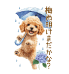トイプードルの梅雨BIGスタンプ（個別スタンプ：36）