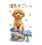 トイプードルの梅雨BIGスタンプ（個別スタンプ：37）