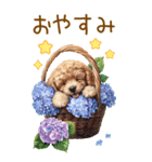 トイプードルの梅雨BIGスタンプ（個別スタンプ：40）