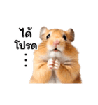 動く！リアルハムスター（タイ語）（個別スタンプ：2）