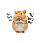 動く！リアルハムスター（タイ語）（個別スタンプ：4）